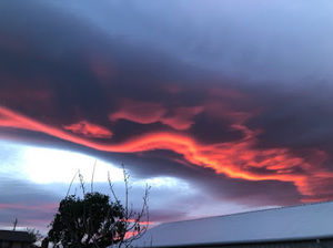 Meet your Posher, Oscar